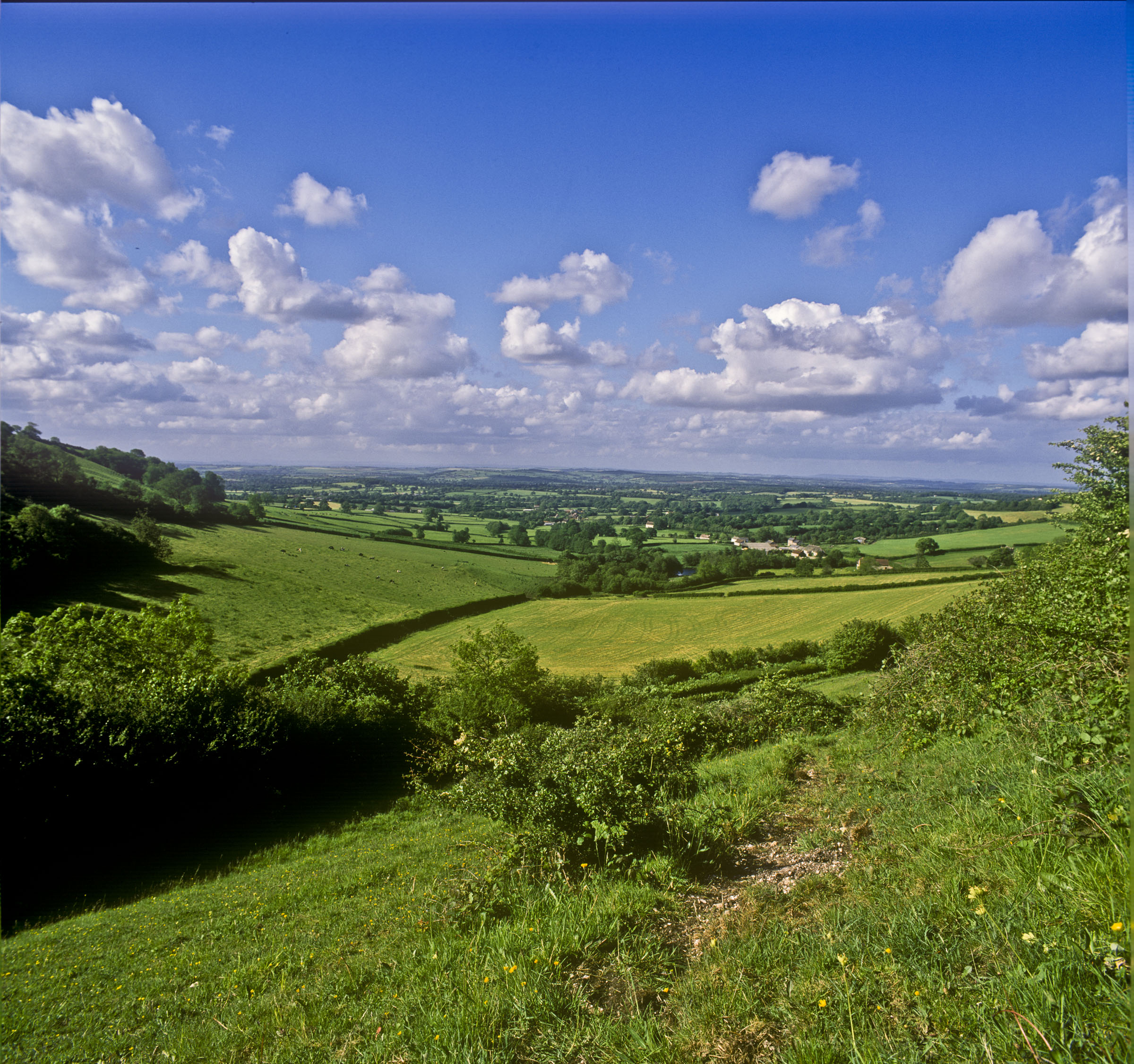 Event 7 Blackmore Vale walk credit Roger Holman
