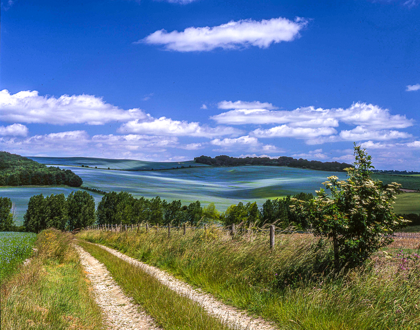 Event 4 Borderlands Walk 26th May