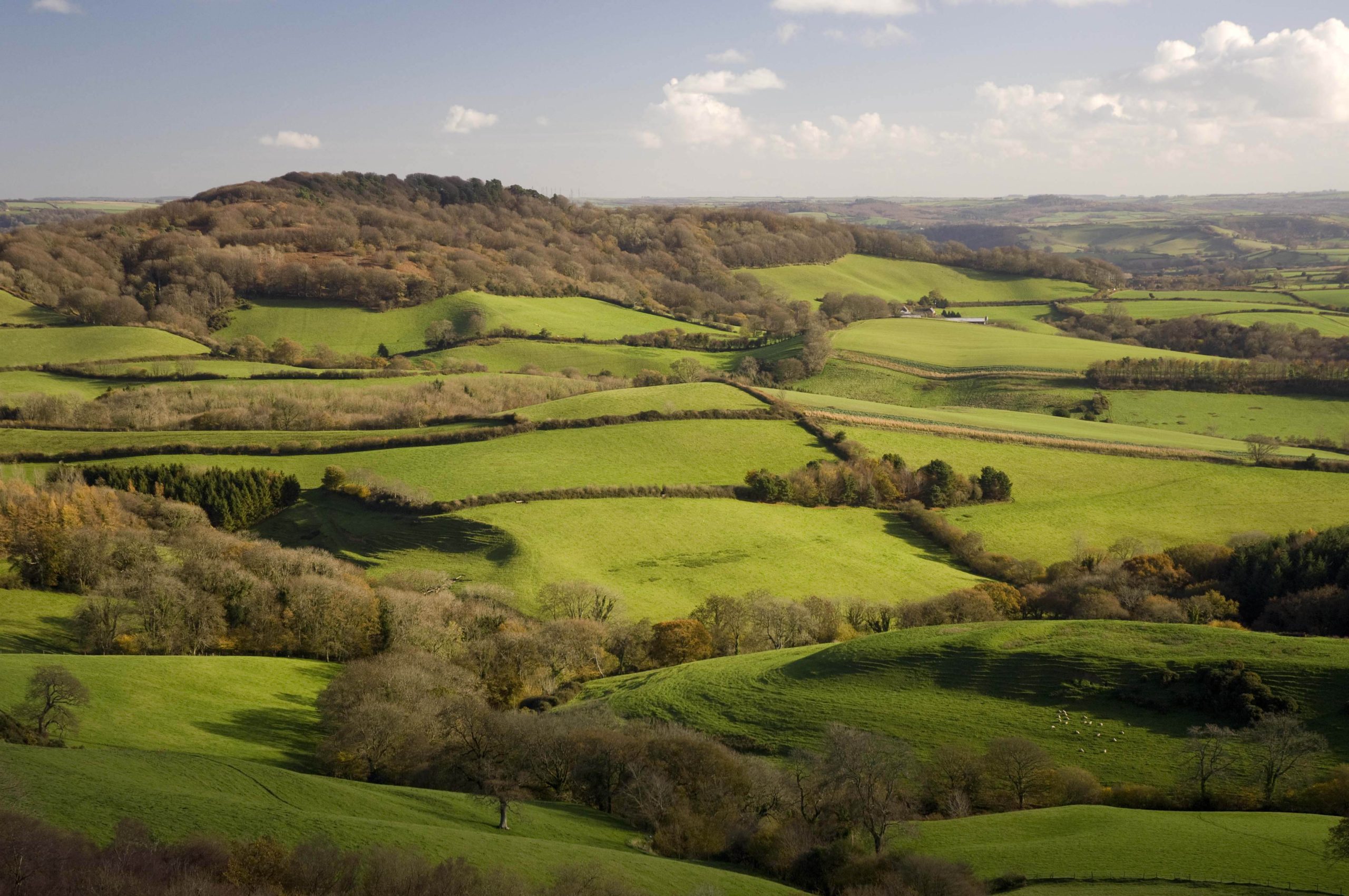 Event 4 Lewesdon Hill (Roger Holman)