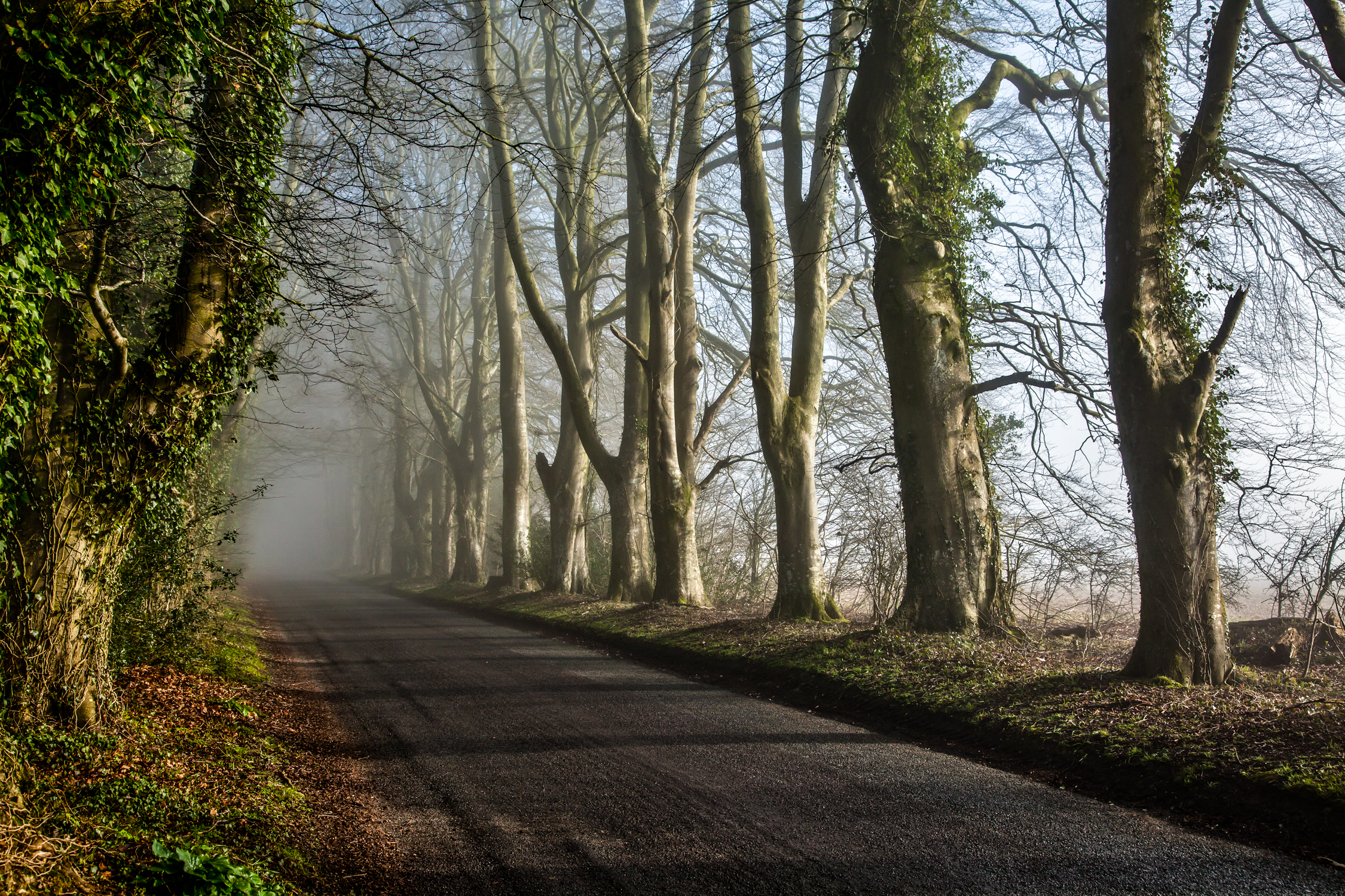 Event 9 Roger Holman Woods Sixpenny Handley