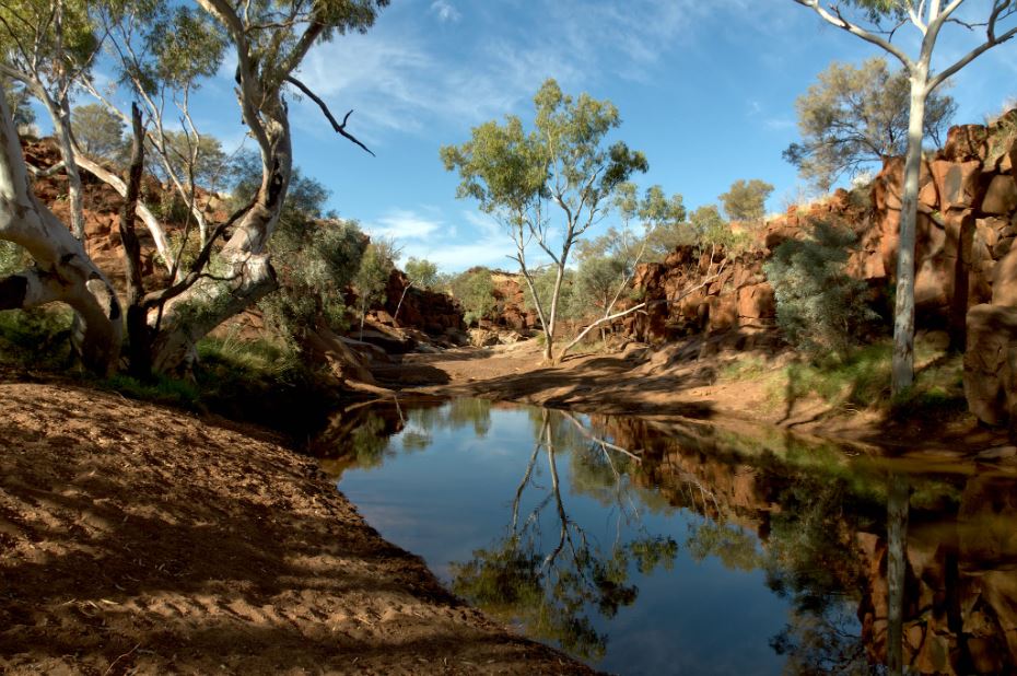 Outback