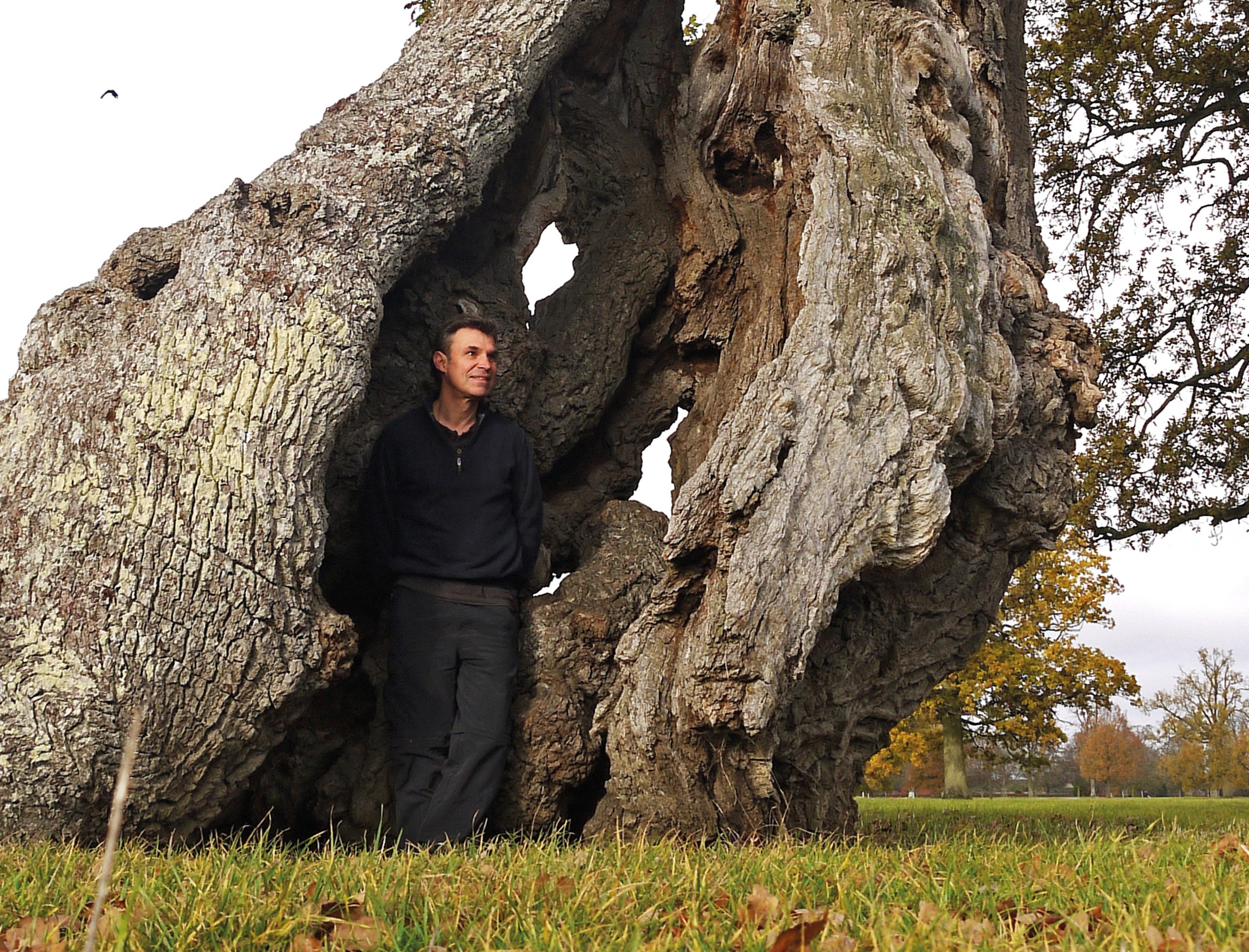 Event 6 Britain's Ancient Forest - Julian Hight