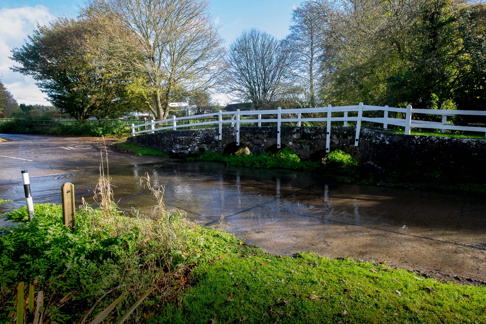Event 4 Roger Holman Tarrant Monkton Ford
